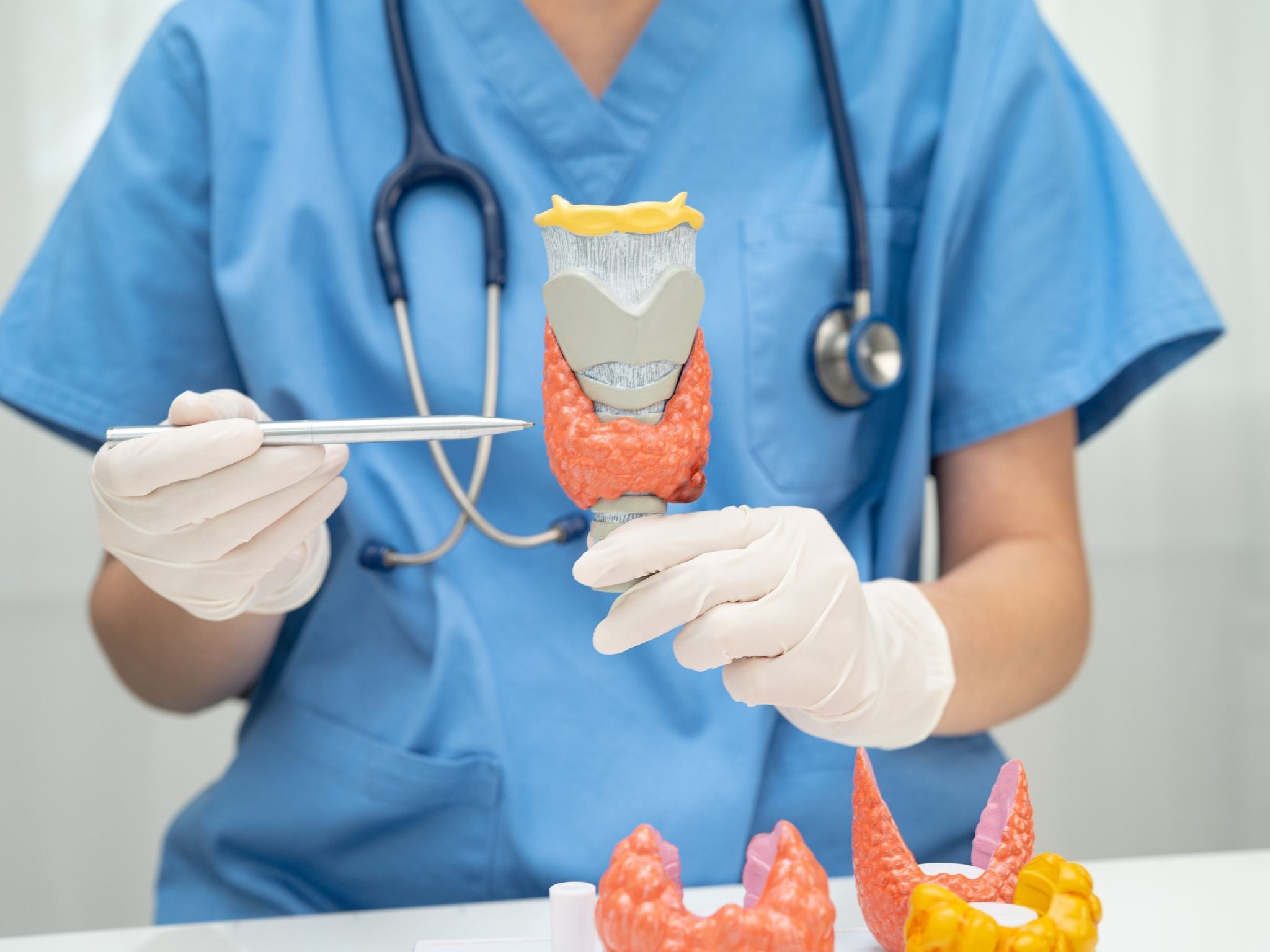 Servizio specialistico di endocrinologia a Perugia presso gli Studi Medici San Nicolò.